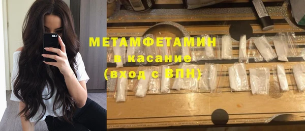 сатива Верея
