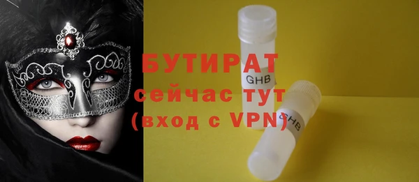 сатива Верея
