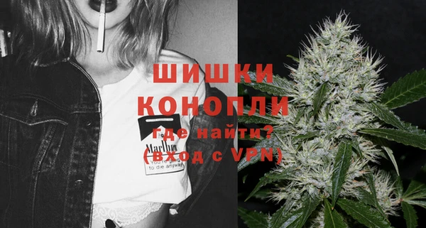 сатива Верея