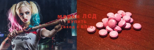 сатива Верея