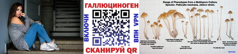 блэк спрут Пушкино Псилоцибиновые грибы Cubensis